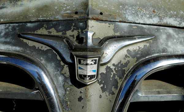 Detail Photo of a Car